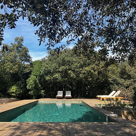 La Canopee Private Ecolodges Nîmes Extérieur photo